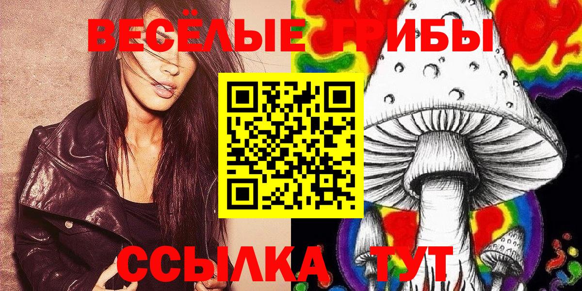 Луховицы  Галлюциногенные грибы GOLDEN TEACHER  Вход с VPN  Галлюциногенные грибы Psilocybine cubensis 